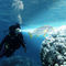 مخصص للماء مضيا للغوص تحت الماء 150 متر ضوء المسافة المزود